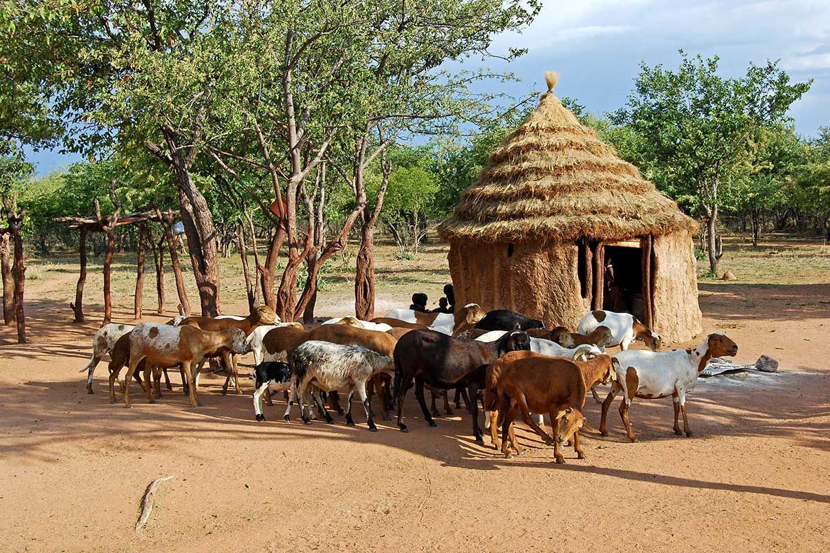 Circuit Pays Himba, Dunes et Réserves de Namibie 3* pas cher photo 16