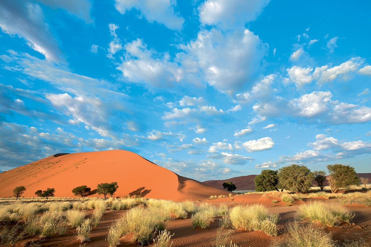 Circuit Visage de Namibie 2*-3* pas cher photo 7