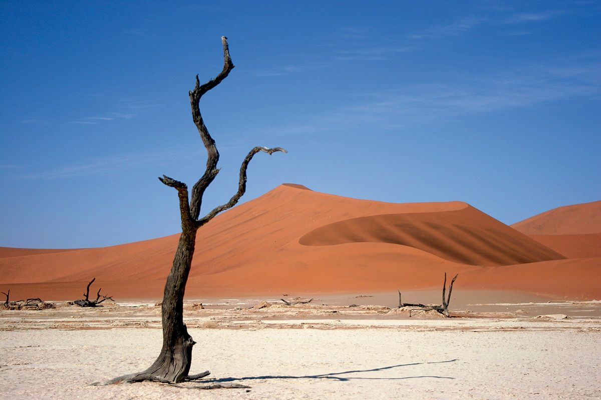 Circuit Visage de Namibie 2*-3* pas cher photo 8