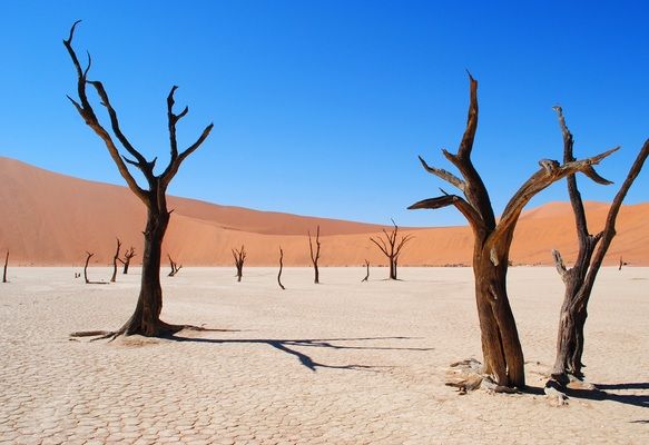 Circuit Des Chutes Victoria au Désert du Namib 3* pas cher photo 25