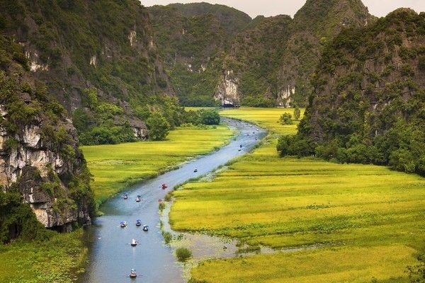 Circuit Lotus du Vietnam et Delta du Mékong 3* pas cher photo 3