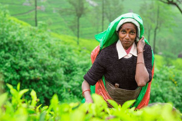 Circuit De la Route des Epices 3* aux plages des Maldives 4* pas cher photo 13