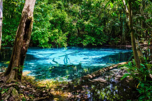 Combiné Krabi et Phuket, Tup Kaek 4* et Orchidacea 4* pas cher photo 14