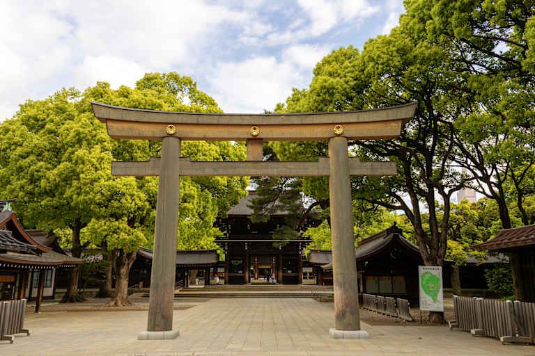 Circuit Kyoto - Hakone - Tokyo 4* pas cher photo 17