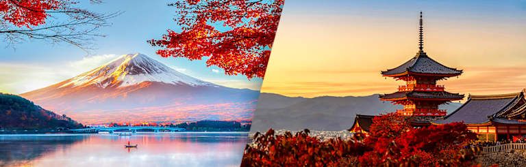 Circuit Les 3 Perles du Japon 3* pas cher