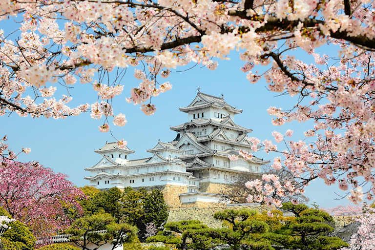 Circuit Les Incontournables du Japon 3* pas cher photo 21