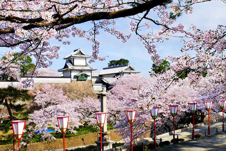 Circuit Le Japon d'Hier et d'Aujourd'hui 4* pas cher photo 7