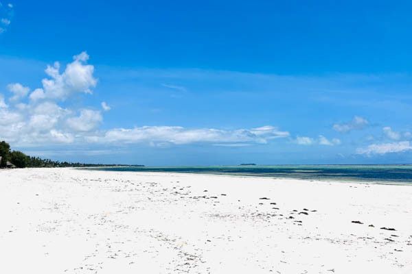 Combiné circuit et hôtel Palumbo Mnemba View Resort 4* avec 2 nuits au Parc de Selous pas cher photo 10