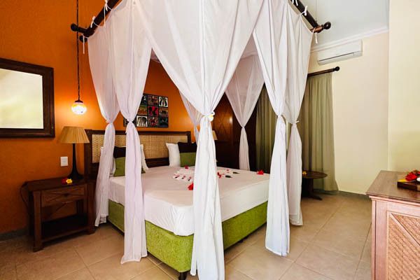 Combiné circuit et hôtel Palumbo Mnemba View Resort 4* avec 2 nuits au Parc de Selous pas cher photo 14