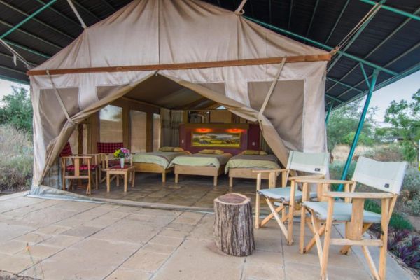 Combiné Soleil et Safari, Merveilles du Kenya en Familles pas cher photo 16