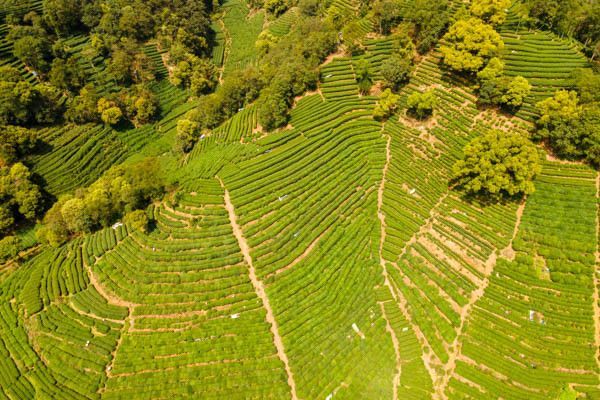 Circuit Essentiels de Chine ancestrale et moderne en privatif 3* pas cher photo 1