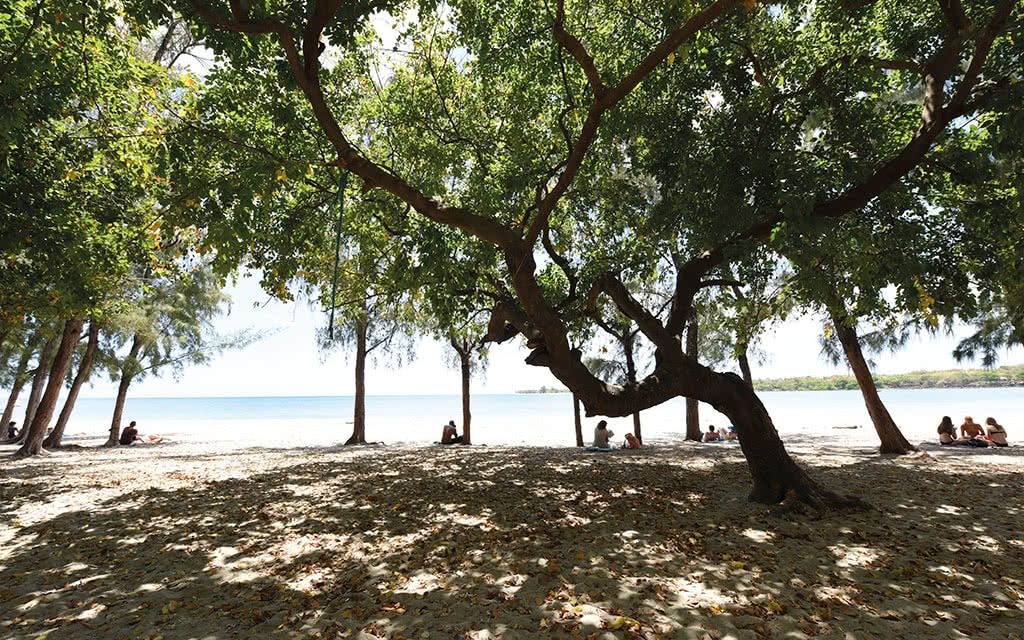 COMBINÉ 2 ILES : RÉUNION + ILE MAURICE Ness By D Ocean + Veranda Tamarin 14 nuits 3* pas cher photo 1