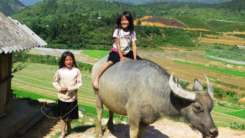 Circuit Les Incontournables du Vietnam 3*-4* pas cher photo 14