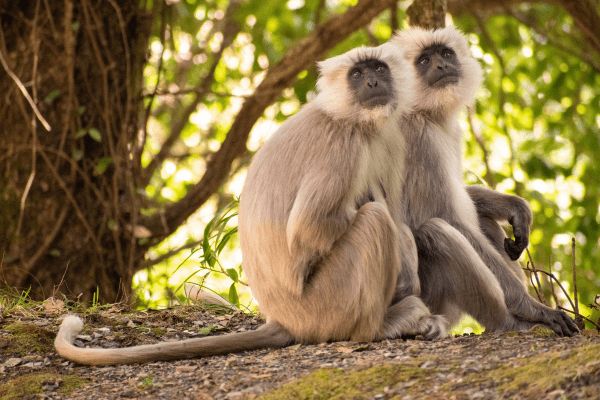 Circuit Lotus du Vietnam en mini groupe 3* pas cher photo 11