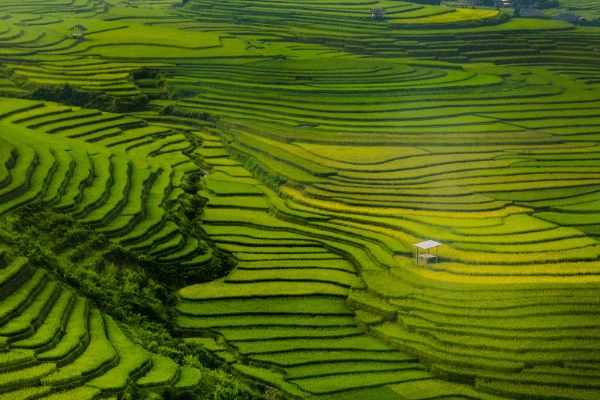 Circuit Lotus du Vietnam en mini groupe 3* pas cher photo 15