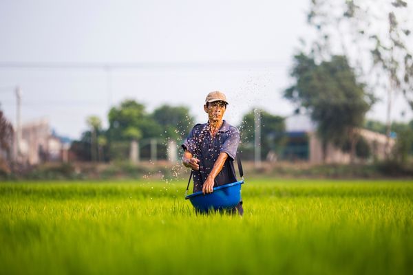 Circuit Vietnam du Nord au Sud Les Incontournables en Privatif 3* pas cher photo 8