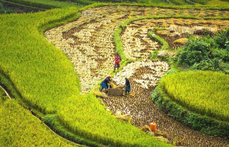 Circuit Incontournables du Vietnam et Cambodge 3*-4* pas cher photo 13