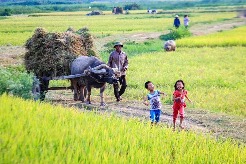 Circuit Incontournables du Vietnam et Cambodge 3*-4* pas cher