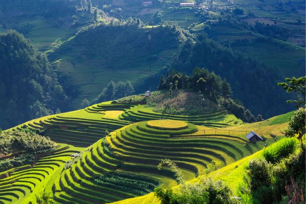 Circuit Vietnam du Nord au Sud Les Incontournables en Privatif 5* pas cher photo 19