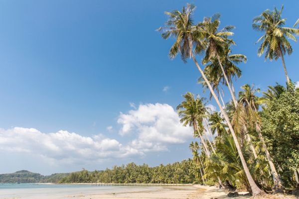 Combiné Thaïlande, De Bangkok aux Sables de Koh Kood 4* pas cher photo 25