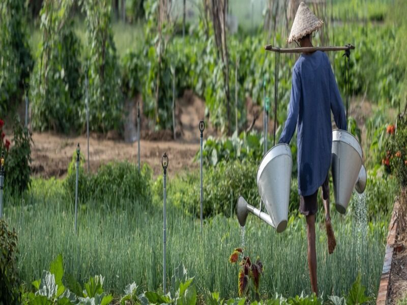 Circuit Trésors Cachés de l'Asie du Sud-Est et extension Phuket 4*-5* pas cher photo 8