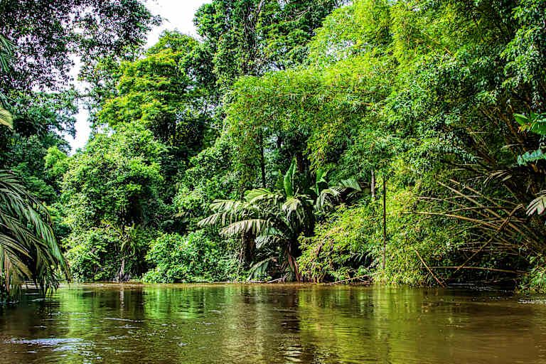 Escapade tropicale au Costa Rica 3*-4*-5* pas cher photo 6