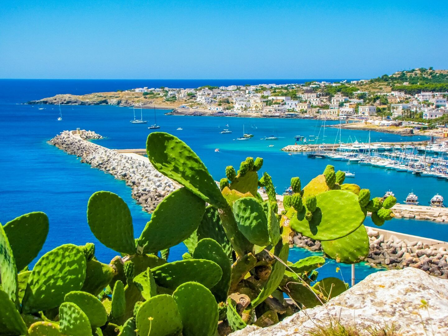 Sur la route : Merveilles des Pouilles et plages en 3* - Arrivée Bari - 11J/10N pas cher photo 9