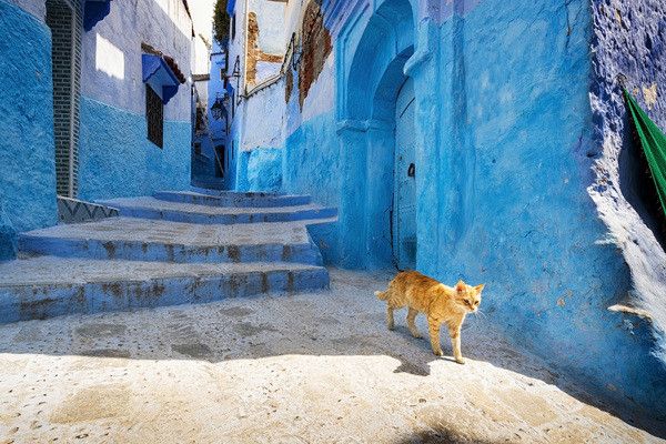 Circuit Bleu de Chefchaouen et cascades d'Akchour pas cher photo 8