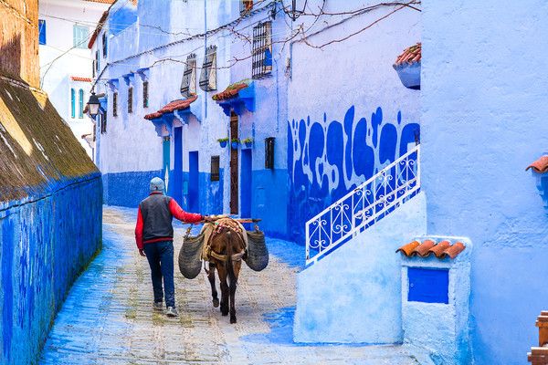 Circuit Bleu de Chefchaouen et cascades d'Akchour pas cher photo 11