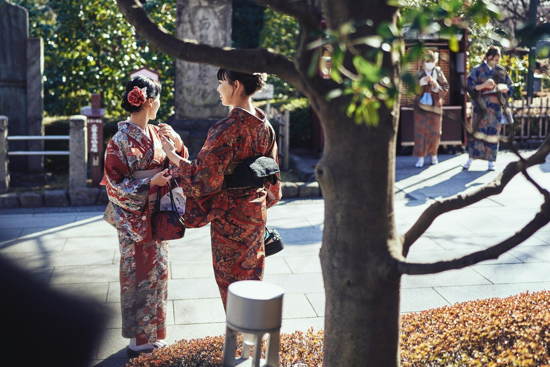 Circuit Individuel Le Japon Des Sensations 3* ou 4* pas cher photo 8