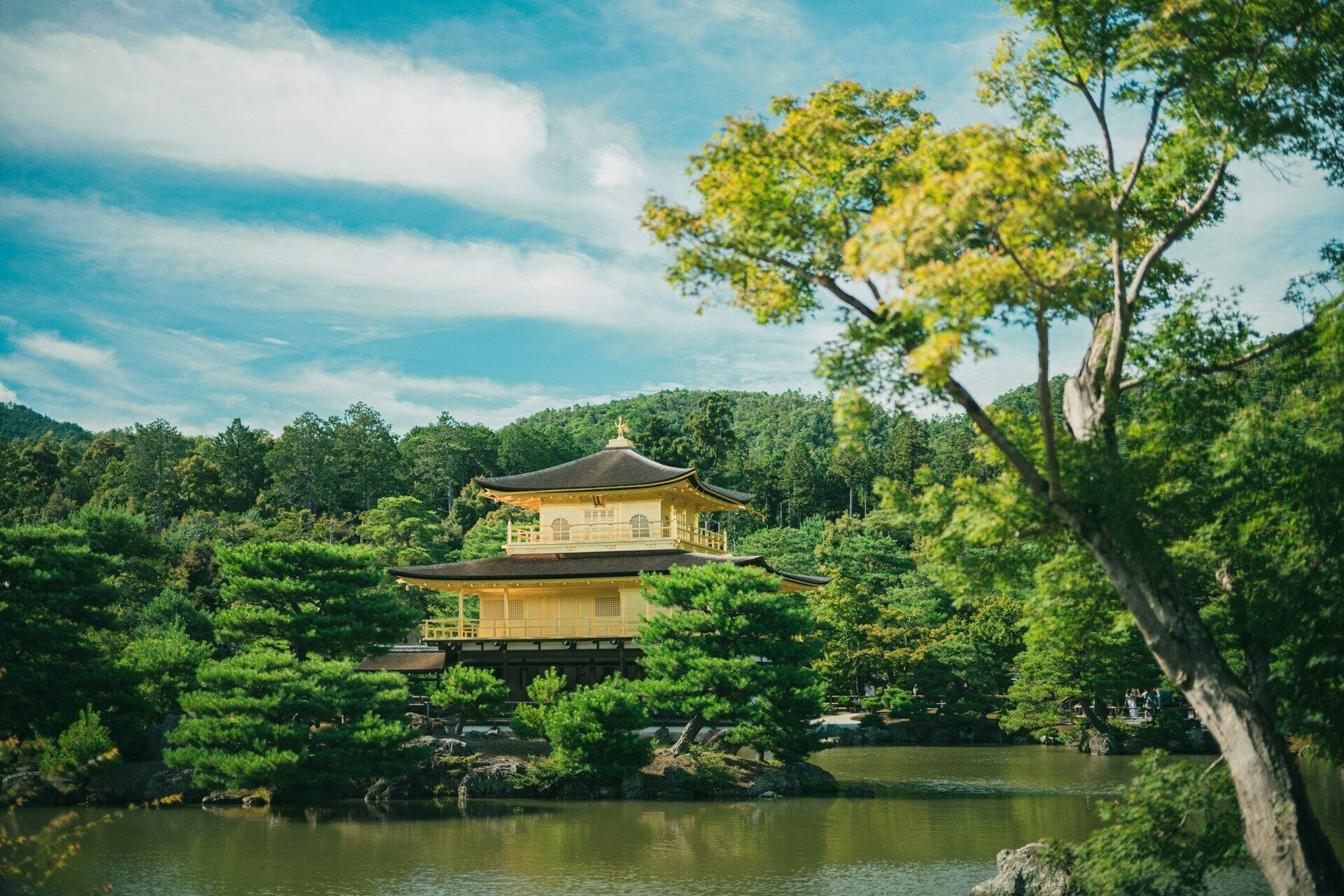 Circuit Individuel Le Japon Des Sensations 3* ou 4* pas cher photo 16