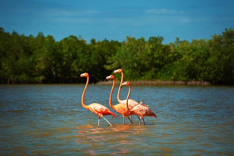 Autotour Saveurs et Plaisirs Yucatèques 3*-4* pas cher photo 5
