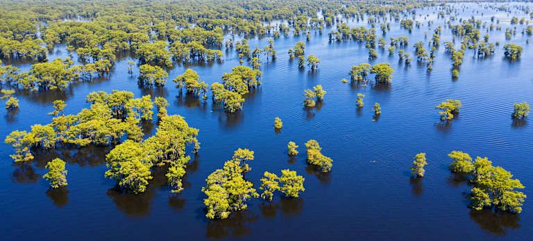 Circuit Les Incontournables de la Louisiane 2*-3* pas cher photo 8