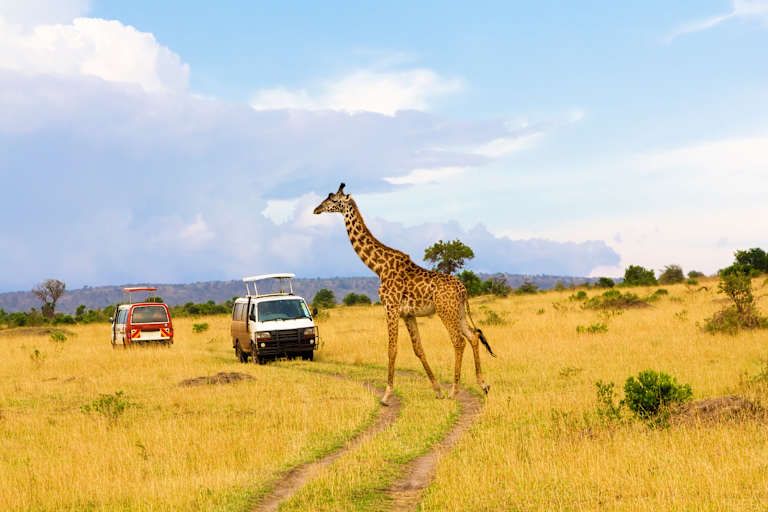 Combiné Hôtel Leopard Beach Resort 5* et Safari Eléphants Rouges pas cher photo 2