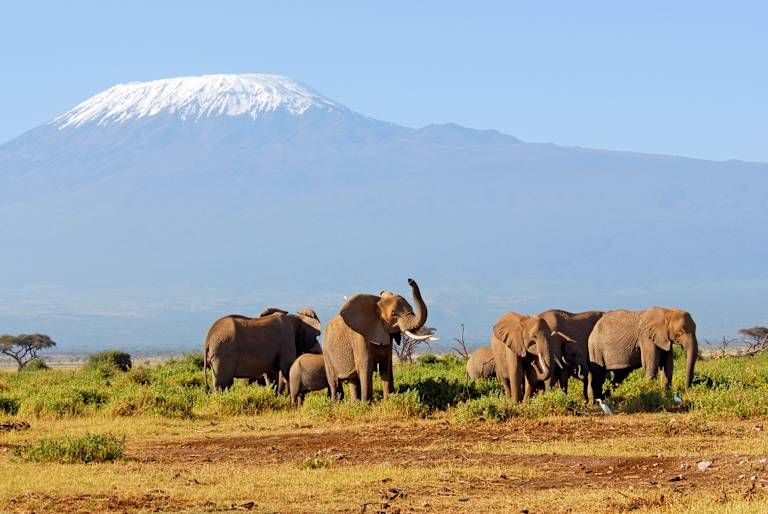 Combiné Hôtel Leopard Beach Resort 5* et Safari Eléphants Rouges pas cher photo 3