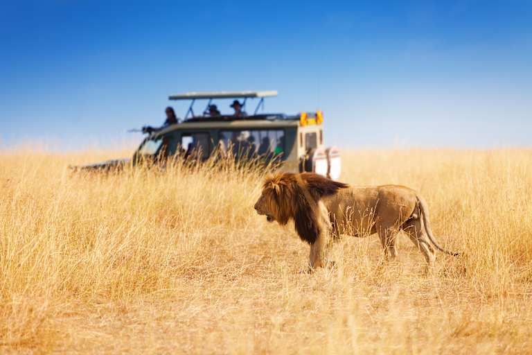 Combiné Amboseli et Masai Mara 4* pas cher photo 5