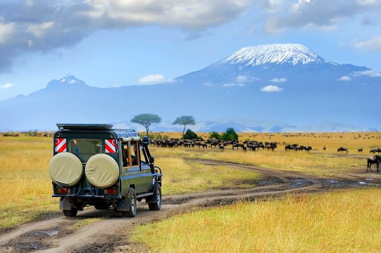 Combiné Amboseli et Masai Mara 4* pas cher photo 19