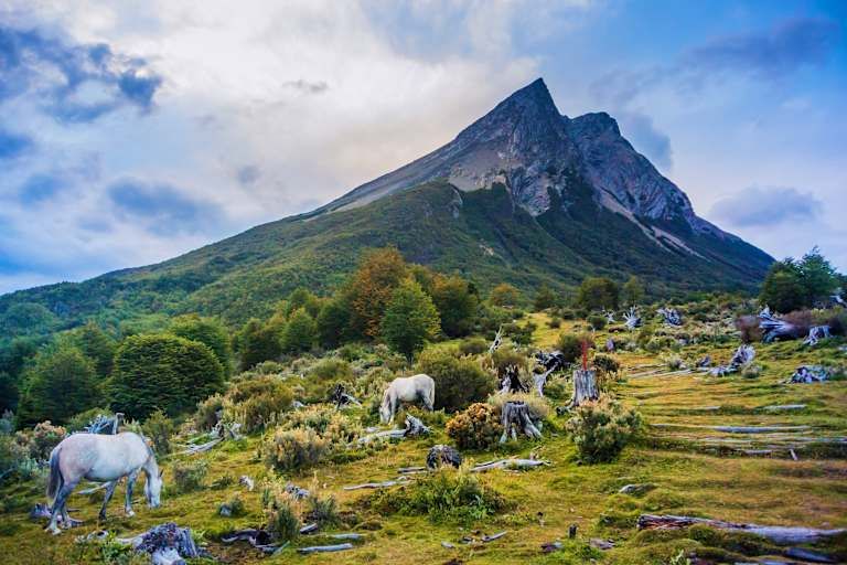 Combiné Buenos Aires et Ushuaia 5* pas cher photo 16