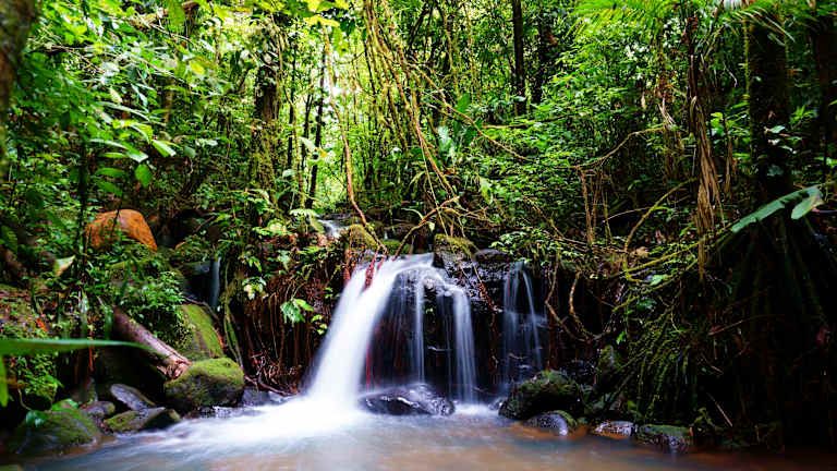 Circuit Les Merveilles du Costa Rica avec extension à Manuel Antonio 3*-4* pas cher photo 3