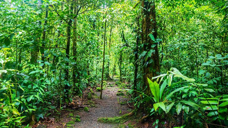 Circuit Les Merveilles du Costa Rica avec extension à Manuel Antonio 3*-4* pas cher photo 7
