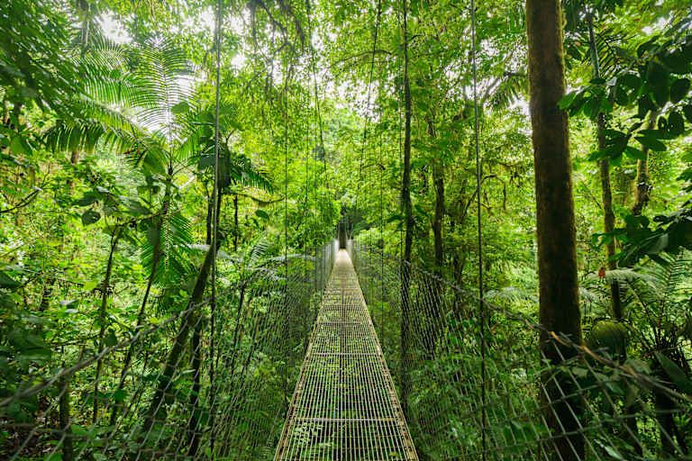 Circuit Les Merveilles du Costa Rica avec extension à Manuel Antonio 3*-4* pas cher photo 12
