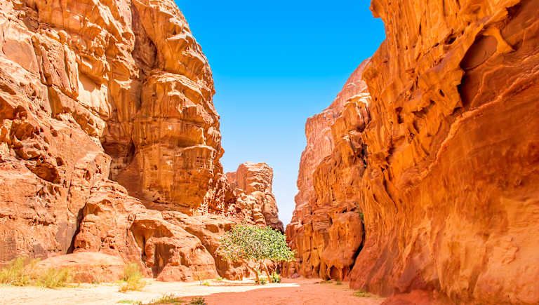 Circuit Secrets de Jordanie 4* pas cher photo 7