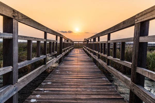 Pranburi, MyClub Dolphin Bay Resort 3/4 3*Formule Siam Nature et Découverte 2* pas cher photo 27