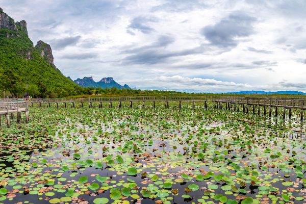 Pranburi, MyClub Dolphin Bay Resort 3/4 3*Formule Siam Nature et Découverte 2* pas cher photo 31