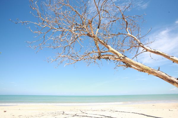 Combiné Bangkok, Khao Lak et Phuket 4* pas cher photo 19