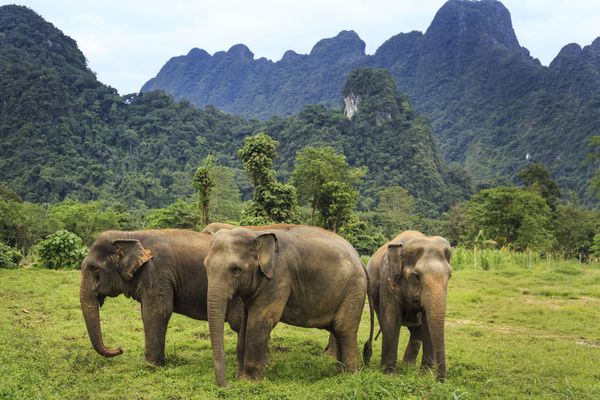 Circuit Thaïlande en Liberté : Bangkok, Chiang Mai et Khaolak 4* pas cher photo 19
