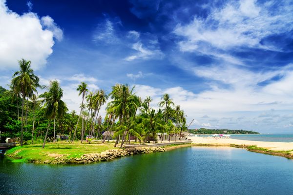 Combiné De Bangkok aux Sables de Koh Samui 4* pas cher photo 9