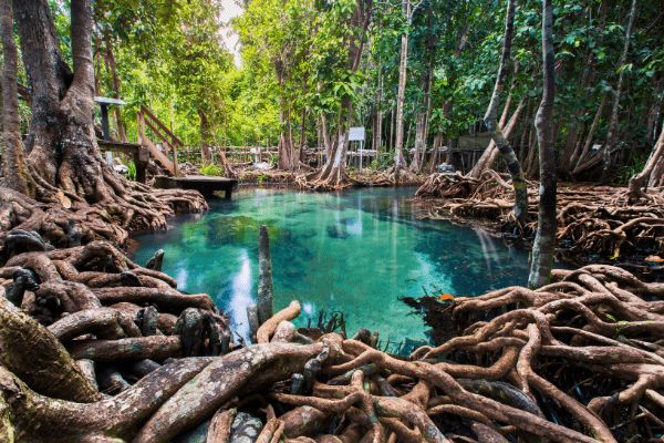Circuit Thaïlande en Liberté : Bangkok, Chiag Mai et Krabi 4* pas cher photo 14
