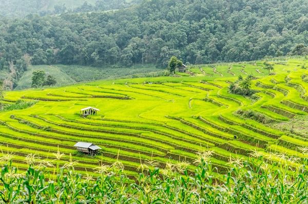 Circuit Thaïlande en Liberté : Bangkok, Chiag Mai et Krabi 4* pas cher photo 25