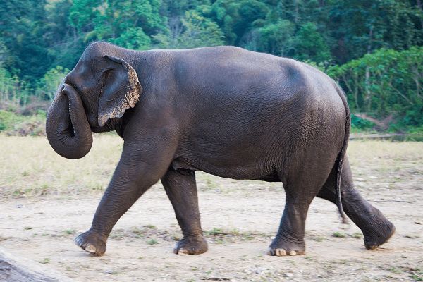 Circuit Des Temples Khmers aux plages de Krabi 4* pas cher photo 17